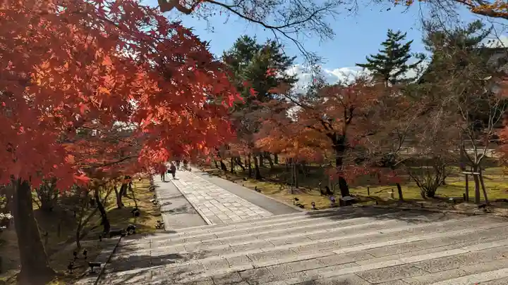 仁和寺(京都府)