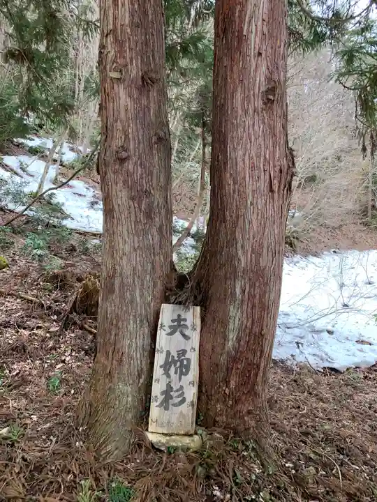 左下り観音堂の自然