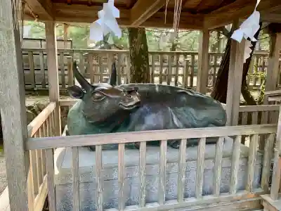 出雲大社(島根県)