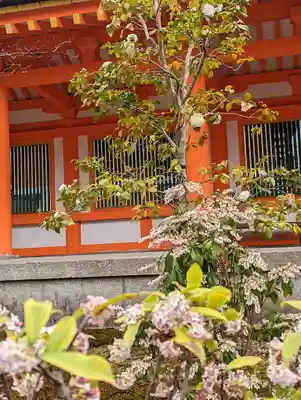 蓮華王院（三十三間堂）(京都府)