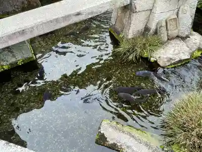十王地蔵尊 (十王村の水)の{uncategorized: "未分類", other: "その他", undefined: "問題あり", building: "その他建物", grave: "お墓", sacred_gate: "鳥居", guardian: "狛犬", statue: "像", buddha: "仏像", history: "歴史", nature: "自然", garden: "庭園", animal: "動物", pagoda: "塔", temizu: "手水舎", mountain_gate: "山門・神門", sanctuary: "本殿・本堂", subordinate: "末社・摂社", art: "芸術", scenery: "景色", jizo: "地蔵", ema: "絵馬", goshuin: "御朱印", omikuji: "おみくじ", items: "授与品その他", amulet: "お守り", goshuincho: "御朱印帳", eats: "食事", festival: "お祭り", votive_dance: "神楽", shichigosan: "七五三参", wedding: "結婚式", experience: "体験その他", initially: "初詣", around: "周辺", anti_infection: "感染症対策"}