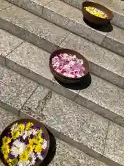 彌彦神社　(伊夜日子神社)(北海道)