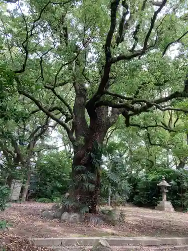 三島神社の自然