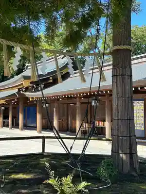 寒川神社(神奈川県)