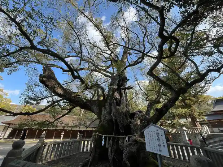 大山祇神社(愛媛県)
