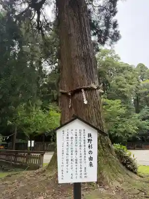 狭野神社の{uncategorized: "未分類", other: "その他", undefined: "問題あり", building: "その他建物", grave: "お墓", sacred_gate: "鳥居", guardian: "狛犬", statue: "像", buddha: "仏像", history: "歴史", nature: "自然", garden: "庭園", animal: "動物", pagoda: "塔", temizu: "手水舎", mountain_gate: "山門・神門", sanctuary: "本殿・本堂", subordinate: "末社・摂社", art: "芸術", scenery: "景色", jizo: "地蔵", ema: "絵馬", goshuin: "御朱印", omikuji: "おみくじ", items: "授与品その他", amulet: "お守り", goshuincho: "御朱印帳", eats: "食事", festival: "お祭り", votive_dance: "神楽", shichigosan: "七五三参", wedding: "結婚式", experience: "体験その他", initially: "初詣", around: "周辺", anti_infection: "感染症対策"}