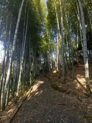 高台寺（高台寿聖禅寺・高臺寺）の周辺