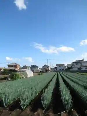 尾崎天神宮(千葉県)