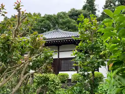 玄賓庵(奈良県)