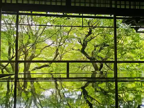 光明寺瑠璃光院(京都府)