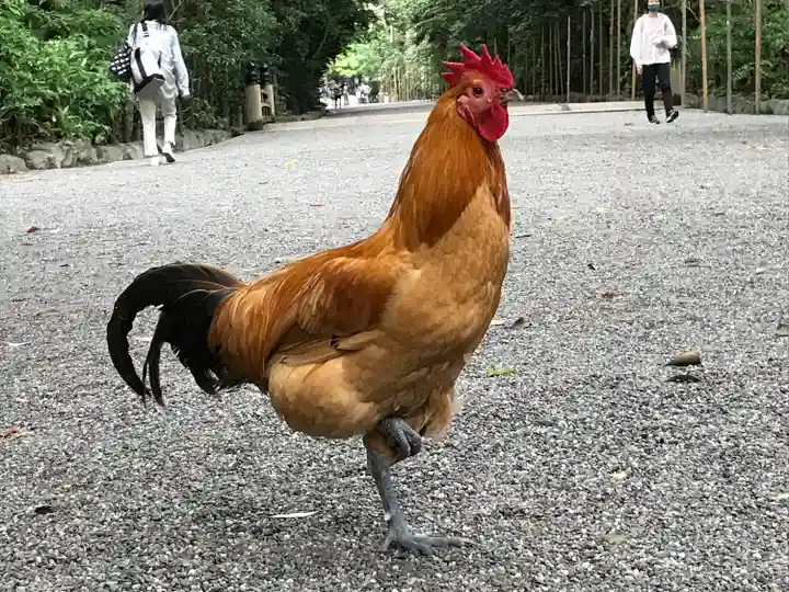 熱田神宮(愛知県)