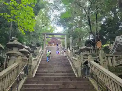 金刀比羅宮(香川県)