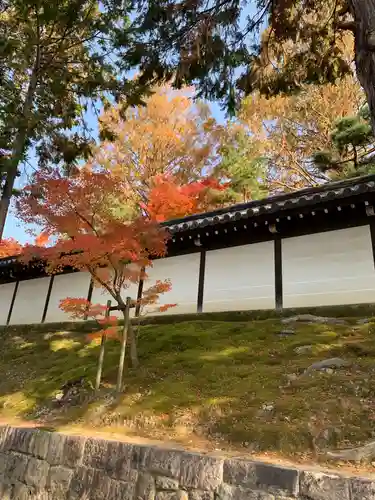 東福禅寺（東福寺）の自然