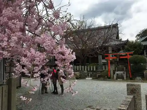 櫻本坊の本殿