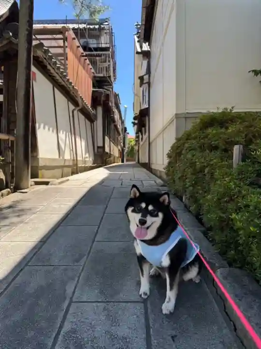 善光寺大本願の{uncategorized: "未分類", other: "その他", undefined: "問題あり", building: "その他建物", grave: "お墓", sacred_gate: "鳥居", guardian: "狛犬", statue: "像", buddha: "仏像", history: "歴史", nature: "自然", garden: "庭園", animal: "動物", pagoda: "塔", temizu: "手水舎", mountain_gate: "山門・神門", sanctuary: "本殿・本堂", subordinate: "末社・摂社", art: "芸術", scenery: "景色", jizo: "地蔵", ema: "絵馬", goshuin: "御朱印", omikuji: "おみくじ", items: "授与品その他", amulet: "お守り", goshuincho: "御朱印帳", eats: "食事", festival: "お祭り", votive_dance: "神楽", shichigosan: "七五三参", wedding: "結婚式", experience: "体験その他", initially: "初詣", around: "周辺", anti_infection: "感染症対策"}