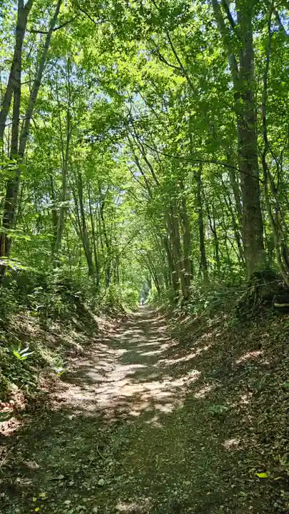 戸隠神社火之御子社(長野県)