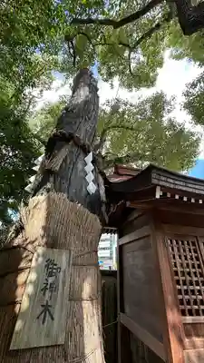 堀越神社(大阪府)