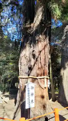 息栖神社(茨城県)