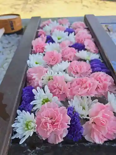 根岸八幡神社(神奈川県)