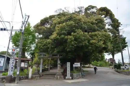 川尻八幡宮(神奈川県)