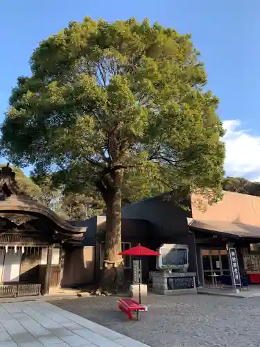 酒列磯前神社の自然