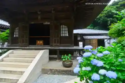 佛日庵(神奈川県)