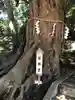 浅間神社(千葉県)