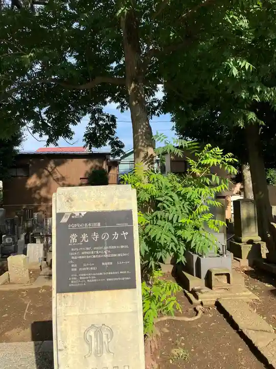 常光寺のその他建物