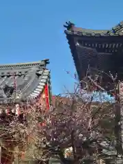 本圀寺の御朱印