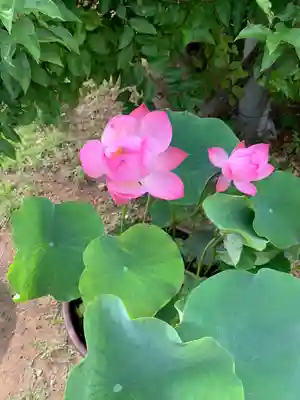 法華経寺(千葉県)