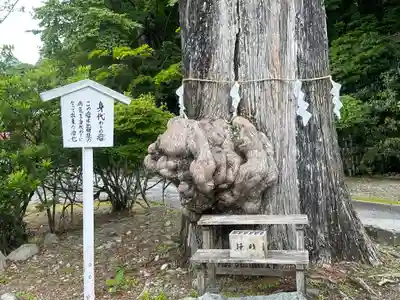 中禅寺(栃木県)