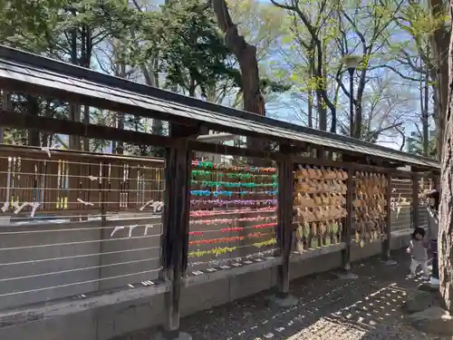 新琴似神社のおみくじ