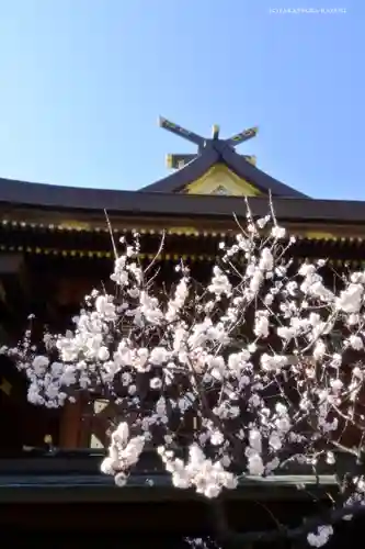 湯島天満宮のその他建物