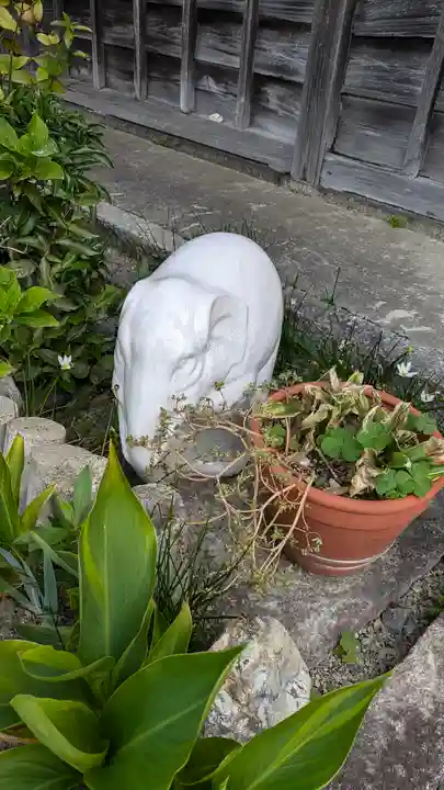 阿弥陀寺(御陵天徳町)(京都府)