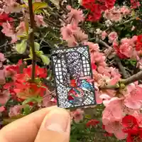 妙櫻寺の御朱印