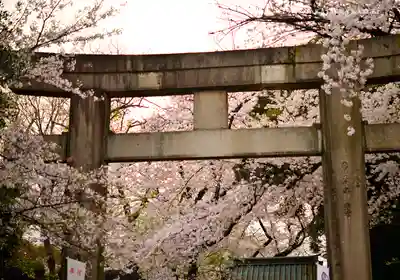 上野東照宮の鳥居