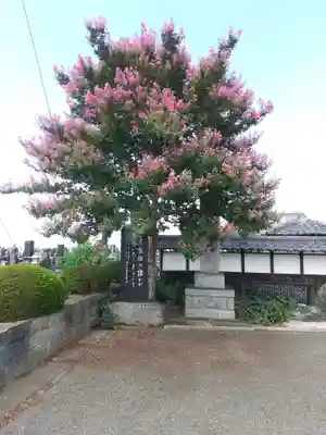 全久院(埼玉県)