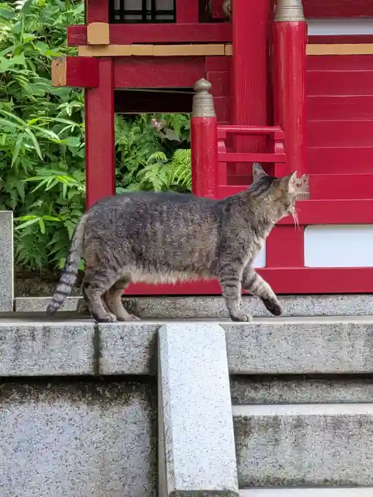 白金氷川神社(東京都)
