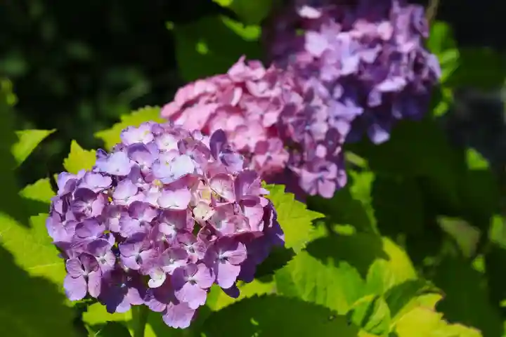 智積院(京都府)