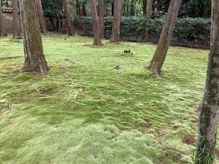 唐招提寺(奈良県)
