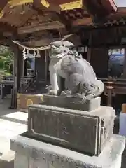 素鵞神社の狛犬