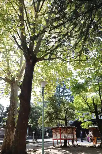 川口神社(埼玉県)