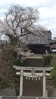 愛宕神社(茨城県)