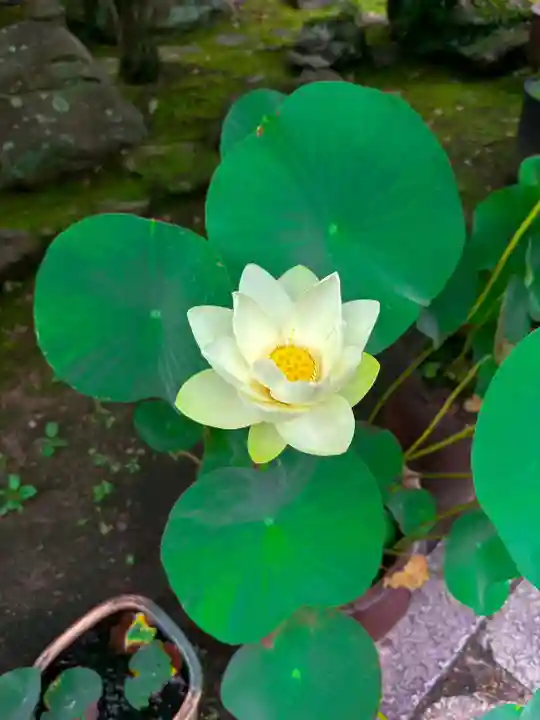 伊勢の国 四天王寺(三重県)