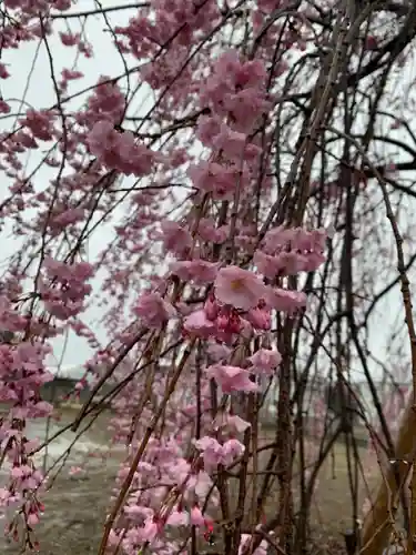 満願寺(埼玉県)