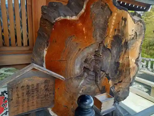 丹生川上神社（上社）(奈良県)