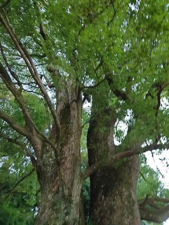 山中八幡宮(愛知県)