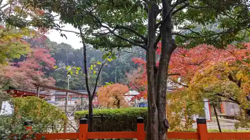 大原野神社(京都府)