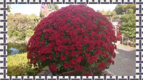 亀戸天神社(東京都)