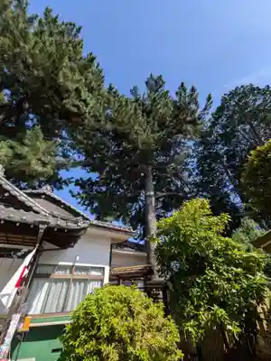 中野沼袋氷川神社(東京都)